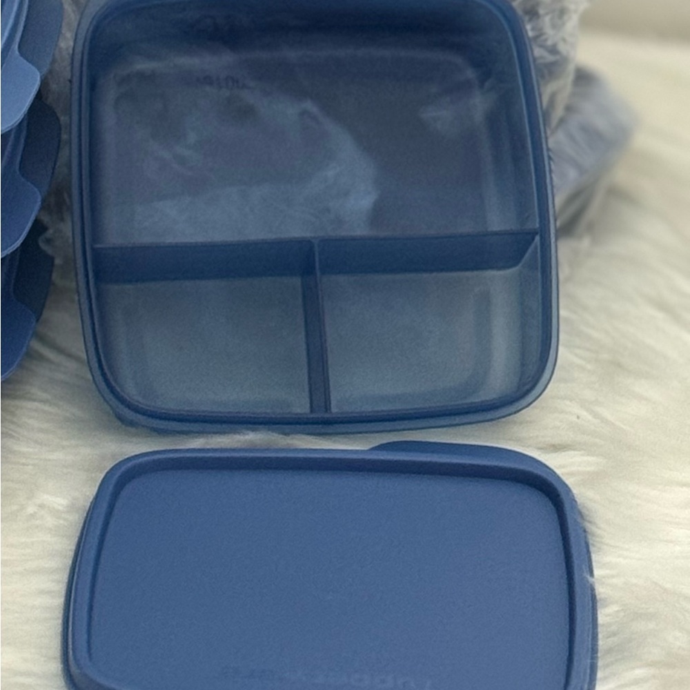 Tupperware Blue Divided Storage Container
